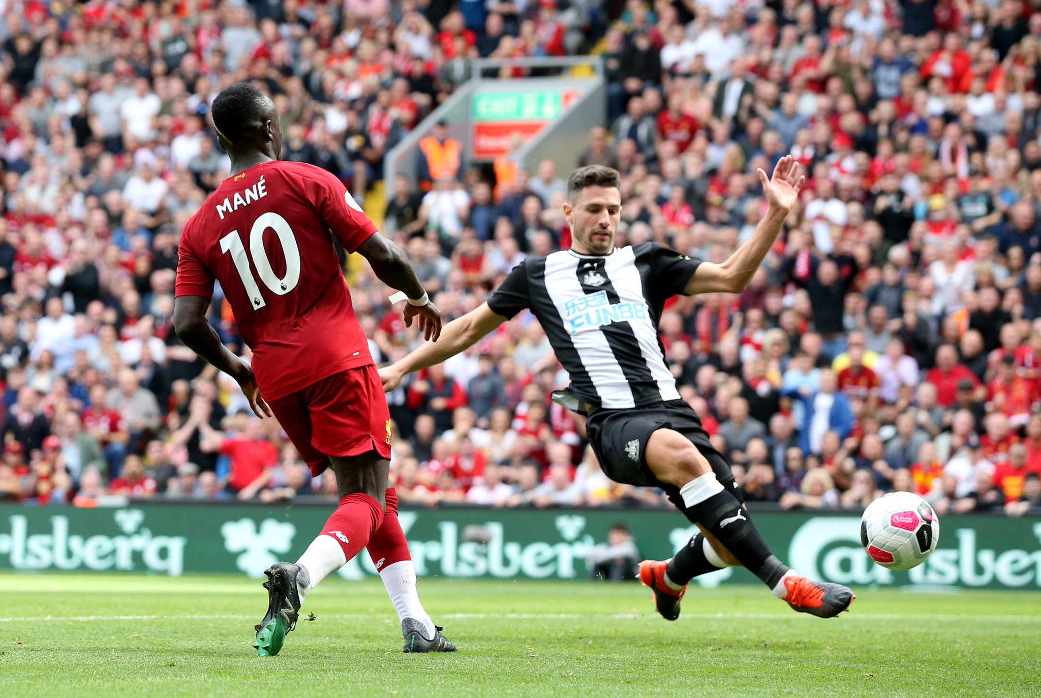 们不仅是一 们不仅是一